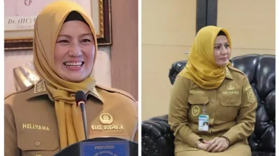 Babak Baru Kasus Hellyana, Wagub Babel: Usai Vonis 4 Bulan, Sidang Dugaan Ijazah Palsu Segera Digelar
