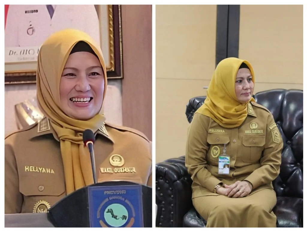 Babak Baru Kasus Hellyana, Wagub Babel: Usai Vonis 4 Bulan, Sidang Dugaan Ijazah Palsu Segera Digelar