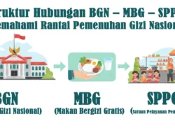 BGN Tutup 883 SPPG dan Pecat 261 Pegawai, Begini Nasib Program MBG