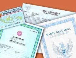 Info Penting: Urus KK, KTP, hingga Akta Kelahiran Kini Bebas Surat Pengantar RT/RW