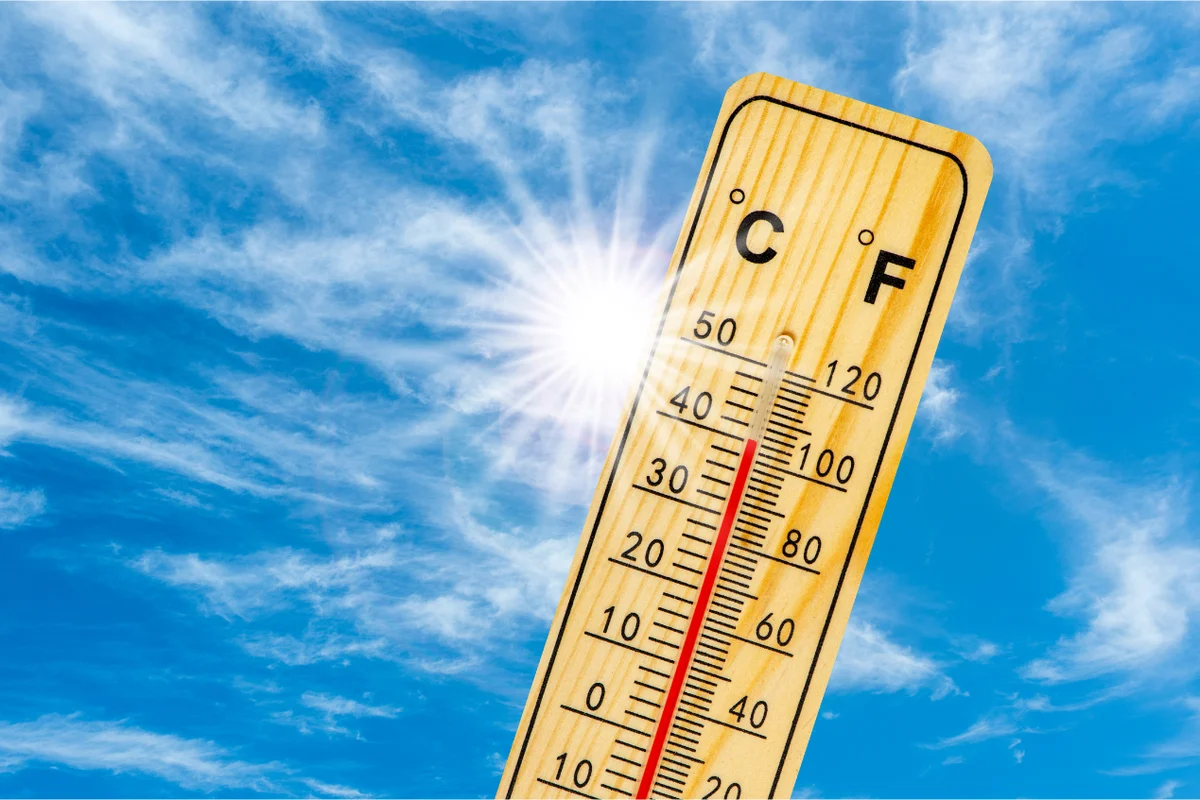 Jepang Catat Hari Pertama Bersuhu 40 Derajat Celsius, Istilah Baru "Kokushobi" Resmi Digunakan