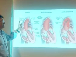 Kata-kata Terakhir Lindsey Graham: ‘Dada Saya Sakit’ Sebelum Wafat karena Robekan Aorta