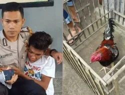 Tiga Hari Setelah Titip Rp2 Juta untuk Sekolah Anak, Maling Ayam di Tabanan Tewas Dihakimi Massa