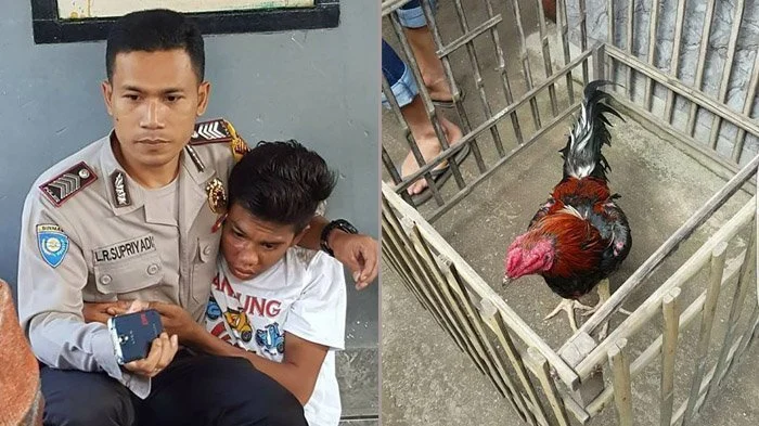Tiga Hari Setelah Titip Rp2 Juta untuk Sekolah Anak, Maling Ayam di Tabanan Tewas Dihakimi Massa