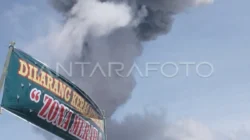 Aktivitas Vulkanik Gunung Merapi Meningkat Disusul Erupsi Sinabung
