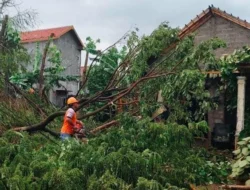 Ancaman Cuaca Windy Ekstrem: Badai Lowell Dekati Hawaii dan Sistem Tekanan Rendah Landa Amerika