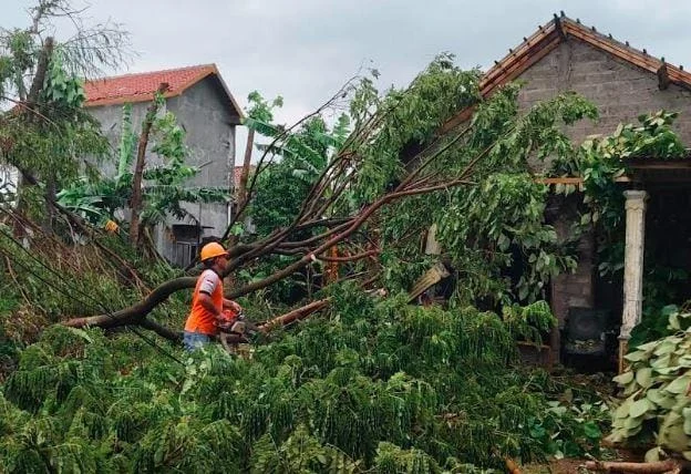 Ancaman Cuaca Windy Ekstrem
