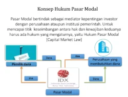 Dinamika Pasar Modal dan Hukum: Dari Persiapan IPO Anthropic hingga Perilaku Investor Ritel