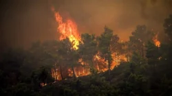 Ilmuwan Luncurkan Atlante Digital Pemetaan Risiko Kebakaran Hutan di Italia