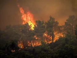 Ilmuwan Luncurkan Atlante Digital Pemetaan Risiko Kebakaran Hutan di Italia