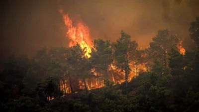 Ilmuwan Luncurkan Atlante Digital Pemetaan Risiko Kebakaran Hutan di Italia