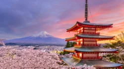 Jepang Rajai Kejuaraan Bola Voli Putra Asia 2026, Indonesia Bersiap Tatap Asian Games