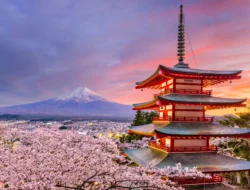 Jepang Rajai Kejuaraan Bola Voli Putra Asia 2026, Indonesia Bersiap Tatap Asian Games