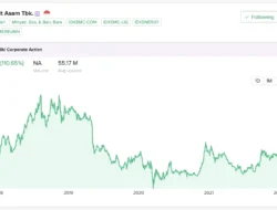 Laba Melonjak 218 Persen, Kinerja Positif dan Transaksi PTBA Saham Menarik Minat Asing