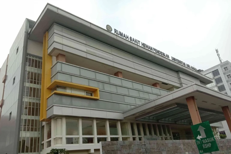 Airlangga Pribadi