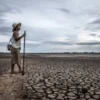 Ancaman El Niño Terkuat 76 Tahun dan Sederet Isu Colombia Primera A di Tengah Ketegangan Iklim