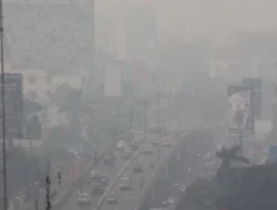 Asap Karhutla Menyebar ke Atmosfer Jakarta, DLH DKI Bantah Polusi Udara Dipengaruhi Kebakaran Hutan