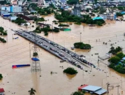 Banjir Besar di Thailand Berdampak pada Pasokan Telur Ayam, Ekspor Dipangkas 30-50%