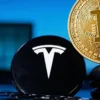 Bitcoin ETF Kembali Menarik Rp8,9 Triliun dalam Dua Hari, Tesla Tetap Pegang BTC