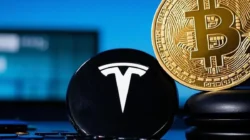 Bitcoin ETF Kembali Menarik Rp8,9 Triliun dalam Dua Hari, Tesla Tetap Pegang BTC