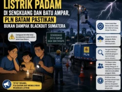 Blackout Batam Jadi Evaluasi, Danantara Siapkan Langkah Perbaikan Layanan PLN