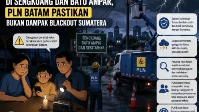 Blackout Batam Jadi Evaluasi, Danantara Siapkan Langkah Perbaikan Layanan PLN