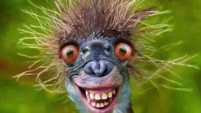 Crazy: Kisah Pengusaha yang Hampir Hancur karena Amazon tapi Tetap Setia Berbelanja