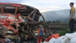 Deretan Kasus Sopir di Jawa Timur: Kecelakaan Maut hingga Ugal-ugalan di Tol