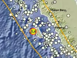 Gempa M 6,1 Guncang Sumba Barat Daya, BMKG Catat 443 Gempa Susulan