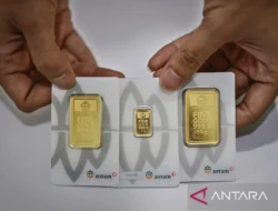 Harga TBS Sawit Jambi Turun, Karhutla Landa Konsesi, dan ISPA Tembus 11.539 Kasus