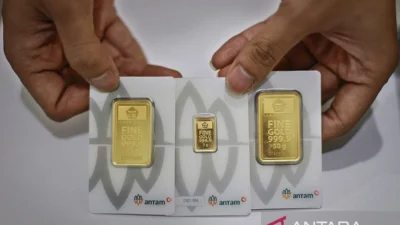 Harga TBS Sawit Jambi Turun, Karhutla Landa Konsesi, dan ISPA Tembus 11.539 Kasus