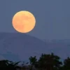 Hunter’s Moon 2026: Bulan Purnama Pemburu Hiasi Langit Indonesia Malam Ini