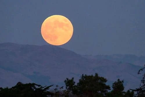 Hunter's Moon 2026: Bulan Purnama Pemburu Hiasi Langit Indonesia Malam Ini