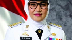 Husniah Talenrang Buka Suara Usai Dipecat Mendagri: SK Belum Diterima, Singgung Ketua DPRD Gowa