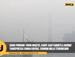 Kabut Asap Karhutla Ganggu 2.604 Penerbangan, Kemenhub Prioritaskan Keselamatan