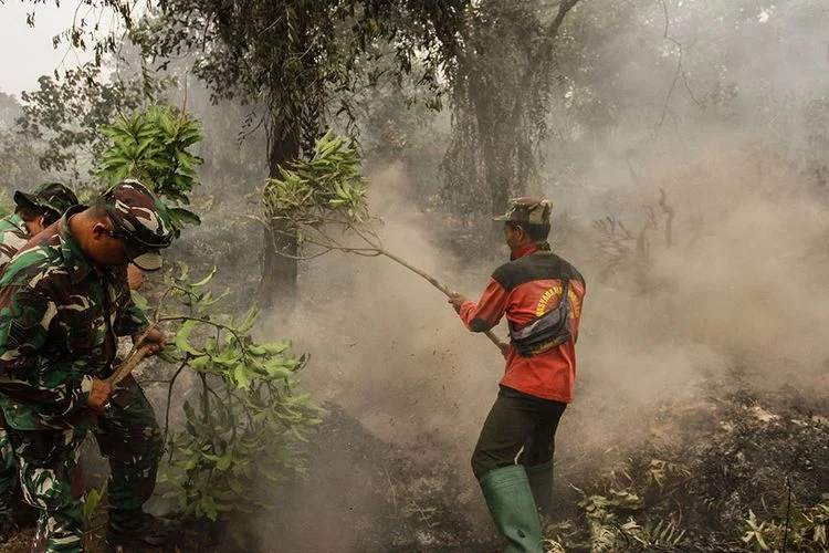 Kabut Asap Karhutla Meluas, Polisi Tetap Operasi dan Warga Terdampak