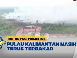 Karhutla Kalimantan Meluas, 64.913 Balita Terkena ISPA dan Aksi Protes Meledak