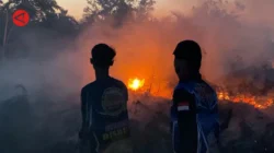 Langit Palangkaraya Memerah, Greta Thunberg Serukan Krisis Karhutla
