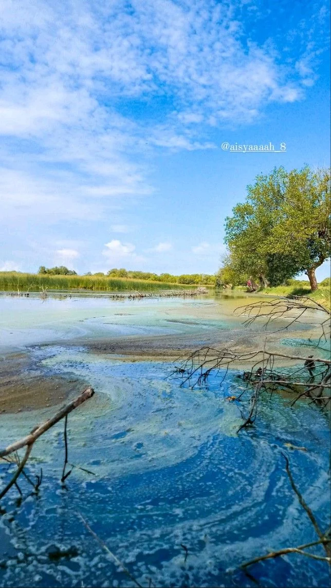 lewati