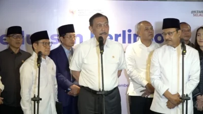 Luhut
