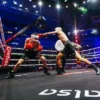 Luis Díaz Pilih Daniel Muñoz sebagai Lawan Boxe di Velada Ibai Llanos