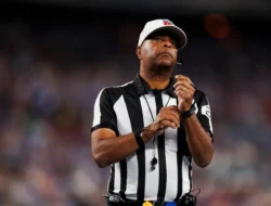 NFL Suspends Officials Jeff Seeman and Adrian Hill After Viral Videos with Players
