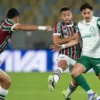 Palmeiras Jamu Fluminense di Semifinal Libertadores: Keunggulan Tipis, Tiket Final Menanti