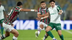Palmeiras Jamu Fluminense di Semifinal Libertadores: Keunggulan Tipis, Tiket Final Menanti