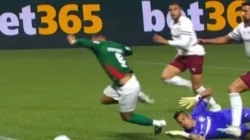 Palmeiras Singkirkan Fluminense Lewat Adu Penalti, Melaju ke Final Libertadores
