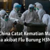 Prancis Catat Kematian Pertama Akibat Virus Shamonda pada Manusia
