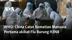 Prancis Catat Kematian Pertama Akibat Virus Shamonda pada Manusia