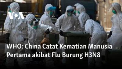 Prancis Catat Kematian Pertama Akibat Virus Shamonda pada Manusia