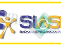 Beda TMT Pengaruhi Jadwal Gaji PPPK Paruh Waktu Lampung Selatan, BKD Proses SK Perpanjangan via SIASN BKN