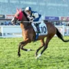 Soulcombe Kejar Tiket Melbourne Cup Lewat Bendigo Cup, Sorotan dari South Melbourne